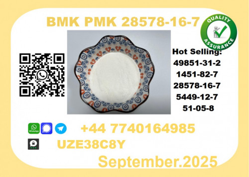 CAS 28578-16-7 BMK PMK Certified Factory Supply