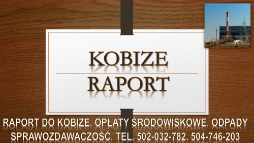 Ile kosztuje raport do kobize? Tel. 502-032-782, Sprawozdanie, cena