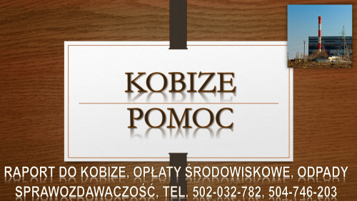 Ile kosztuje raport do kobize? Tel. 502-032-782, Sprawozdanie, cena