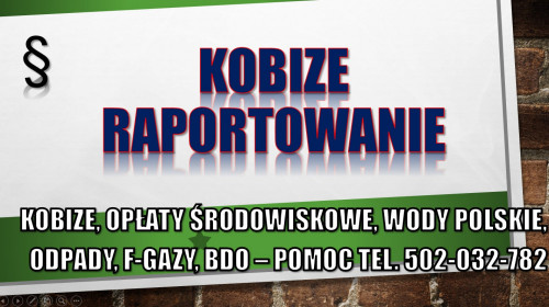 Wypełnienie raportu do Kobize, cena, tel. 504-746-203. Krok po kroku.