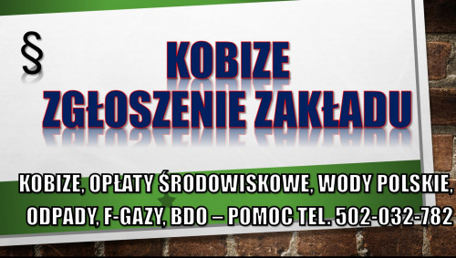 Wypełnienie raportu do Kobize, cena, tel. 504-746-203. Krok po kroku.