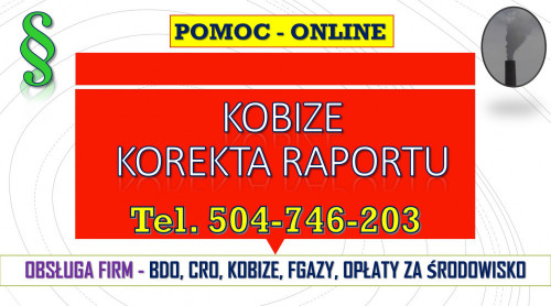 Korekta i poprawa Raportu Kobize, cena 502-032-782. Poprawienie błędów