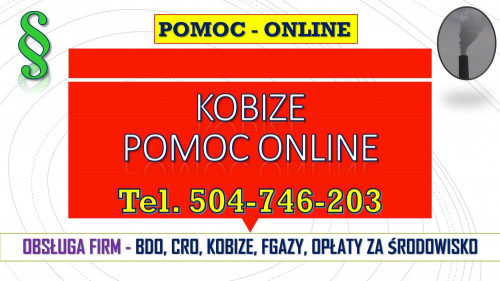 Korekta i poprawa Raportu Kobize, cena 502-032-782. Poprawienie błędów