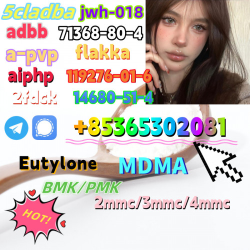 Do you want to buyBMK/PMKpowder?