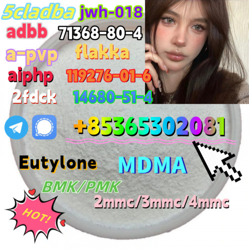 Do you want to buyBMK/PMKpowder?