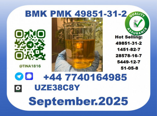 BMK PMK factory，CAS 49851-31-2 worldwide safe&fast delivery