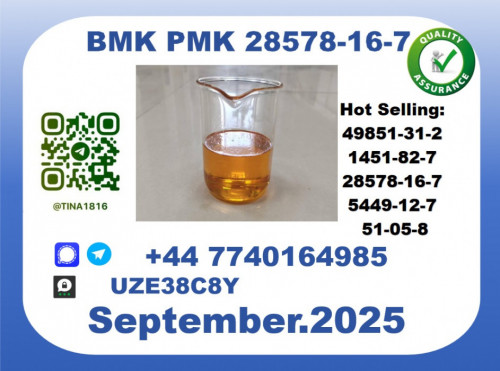 BMK PMK factory，CAS 28578-16-7 worldwide safe&fast delivery