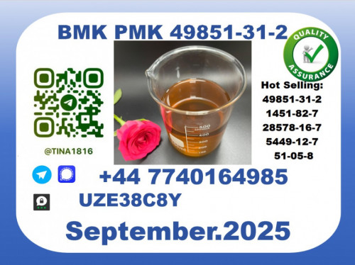 BMK PMK factory，CAS 49851-31-2 worldwide safe&fast delivery