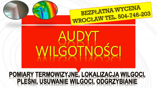 Wykrycie pleśni, tel. 504-746-203. Wrocław, wilgoci, lokalizacja