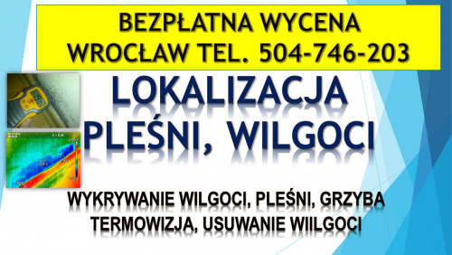 Wykrycie grzyba w mieszkaniu, tel. 504-746-203, Wrocław, lokalizacja