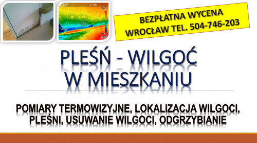 Wykrywanie i przyczyny wilgoci, Wrocław, tel. 504-746-203, cena.