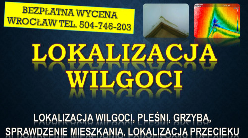 Odgrzybianie mieszkania, cena, tel. 504-746-203. Wrocław. Termowizja