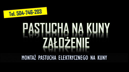 Założenie pastucha na kuny tel.  504-746-203. Zamontowanie na domu