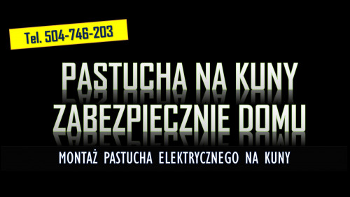 Założenie pastucha na kuny tel.  504-746-203. Zamontowanie na domu