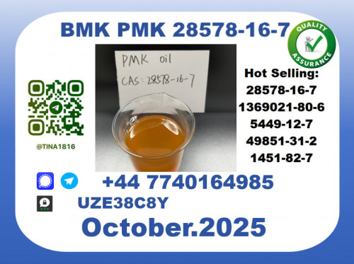 CAS 28578-16-7 PMK Certified Factory Supply