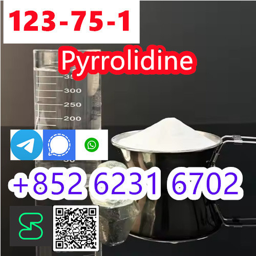 legit Supplier Pyrrolidine N Methyl Pyrrolidine CAS 123-75-1 for Medic