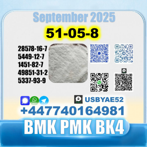 Procaine hcl 51-05-8 bmk bk4/2b4m source factory safe delivery