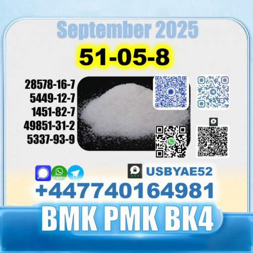 Procaine hcl 51-05-8 bmk bk4/2b4m source factory safe delivery