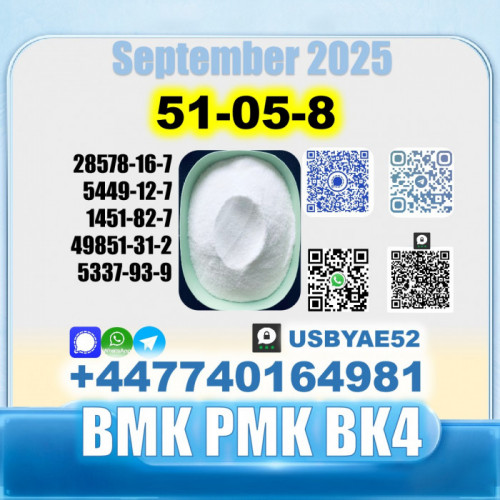 Procaine hcl 51-05-8 bmk bk4/2b4m source factory safe delivery