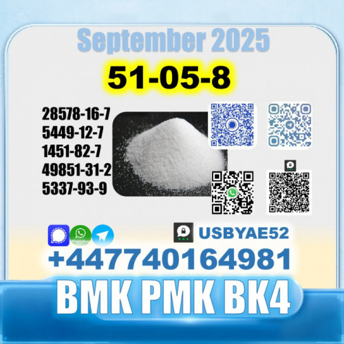 Procaine hcl 51-05-8 bmk bk4/2b4m source factory safe delivery