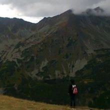 Strona profilu