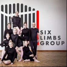 Six Limbs Group