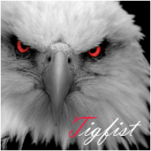 Tigfist