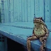 Sebastian Froggy