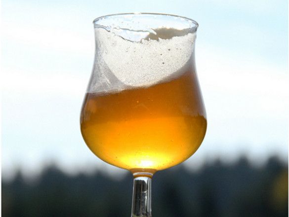 Słoneczne piwo z Bieszczadów polskie indiegogo