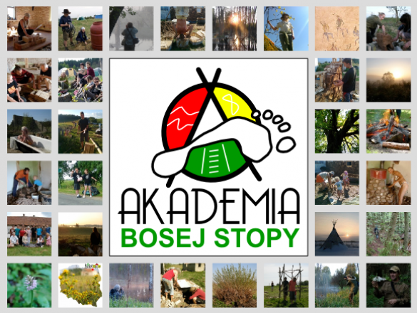 Akademia Bosej Stopy - budujemy ją razem crowdsourcing