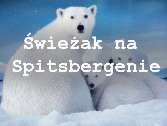 Świeżak na Spitsbergenie crowdfunding