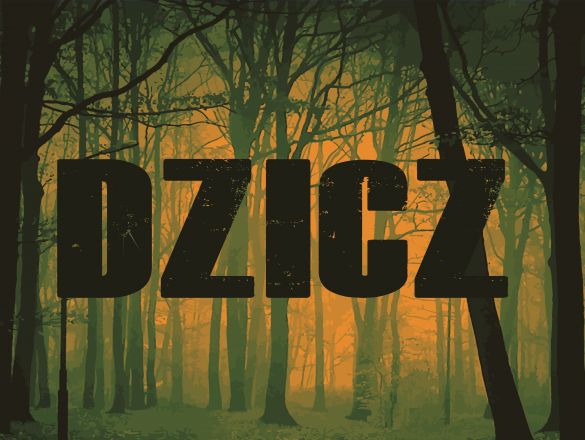 DZICZ - film krótkometrażowy crowdsourcing