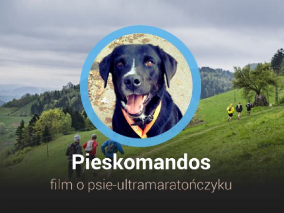 Pieskomandos polskie indiegogo