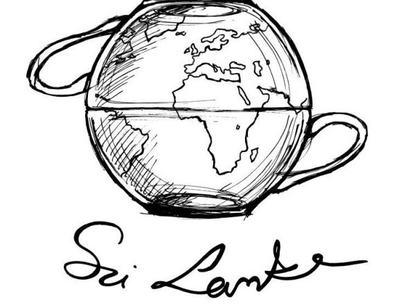 Pijemy herbatę na Sri Lance