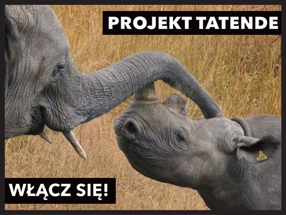 TATENDE - uratujmy słonie, żyrafy, nosorożce! crowdsourcing