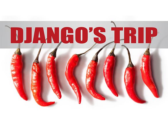 Wydaj album z Django's Trip i bądź w drodze... crowdsourcing