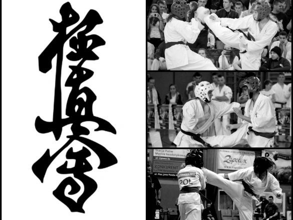 Karate Dream polskie indiegogo