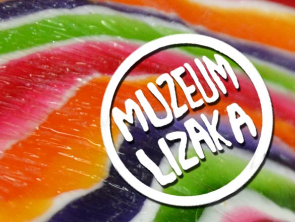 Muzeum Lizaka polskie indiegogo