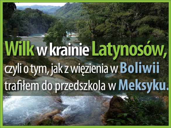 Książka 'Wilk w Krainie Latynosów' polskie indiegogo