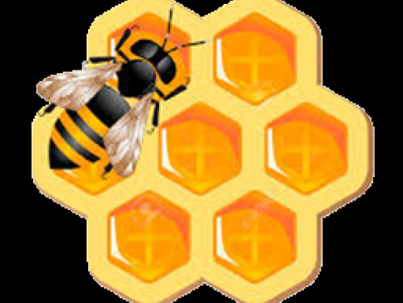 Bee's Life edukacyjny symulator rodziny pszczelej