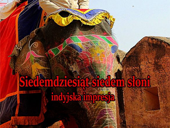 Wydanie książki "Siedemdziesiąt siedem słoni" polskie indiegogo