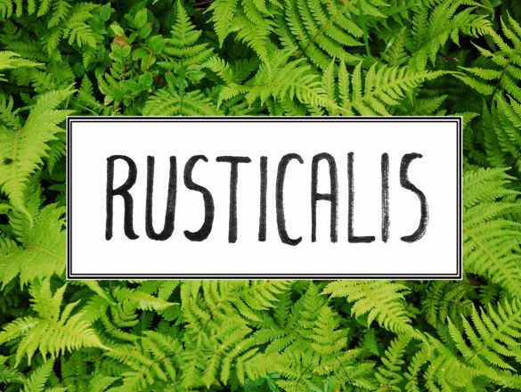 Rusticalis - platforma promująca tereny wiejskie