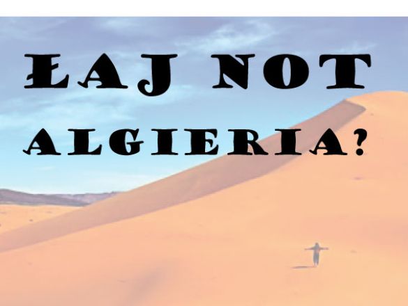 Łaj not Algieria? ciekawe projekty