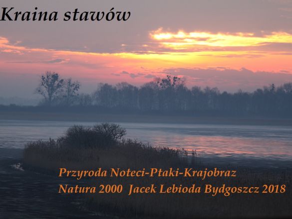 ALBUM 'PRZYRODA NOTECI - PTAKI - KRAJOBRAZ -NATURA 2000