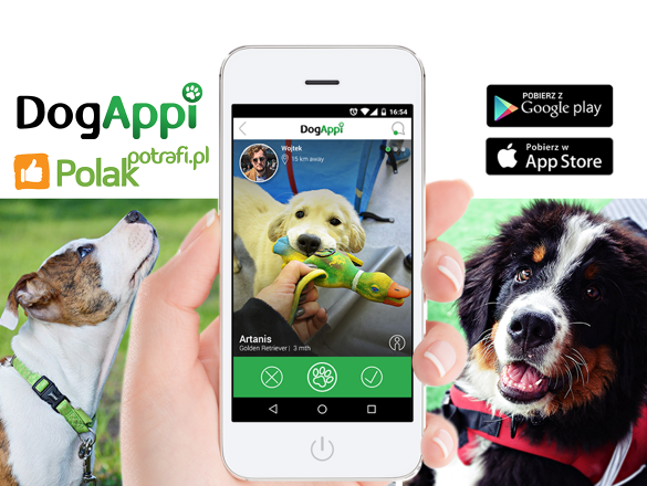 DogAppi - aplikacja dla właścicieli psów polski kickstarter