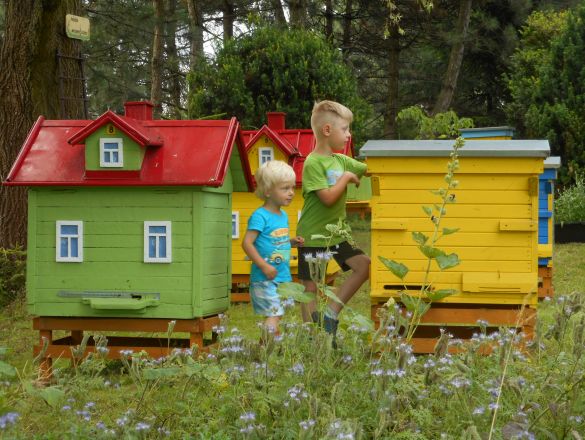 Edukacyjny pszczeli domek dla smakoszy miodu crowdsourcing