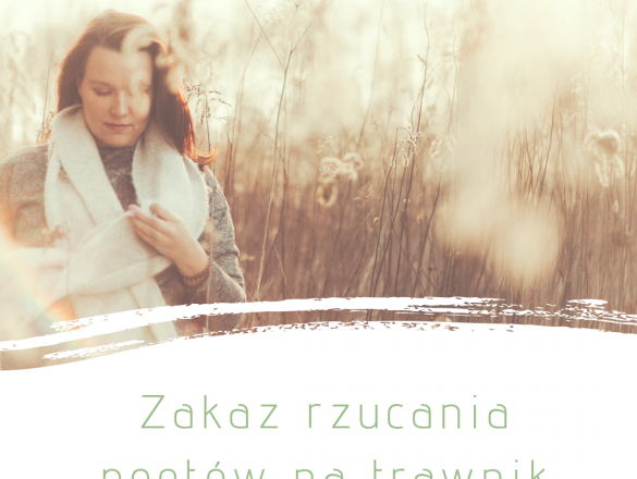 Zakaz rzucania poetów na trawnik polskie indiegogo