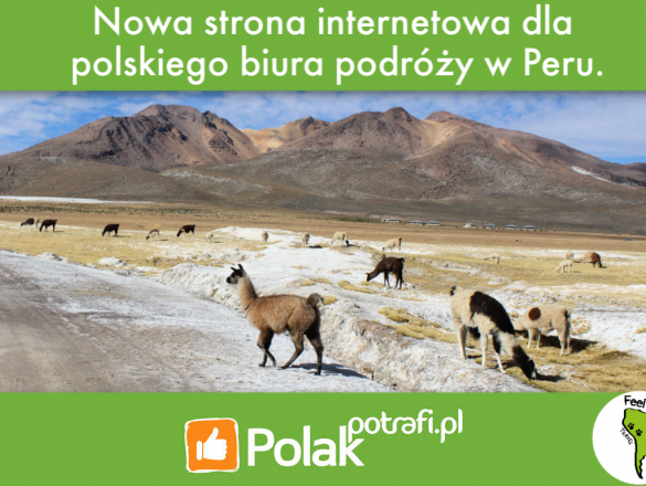 Strona internetowa dla polskiego biura podróży w Peru! crowdfunding