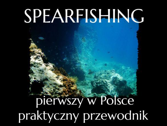 Pierwszy polski praktyczny przewodnik po spearfishingu crowdsourcing